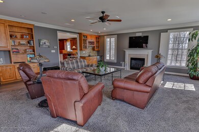 Gas Fireplace and built in