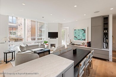 623 S Monarch St unit B, Aspen, CO 81611 - photo 5