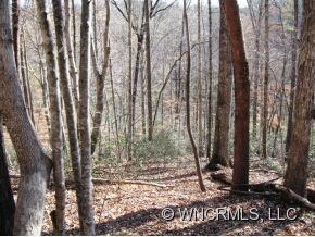 109 Yates Ln unit 109, Lake Lure, NC 28746 - photo 3