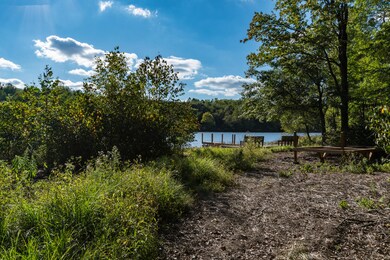 29192 Misty Pines-47