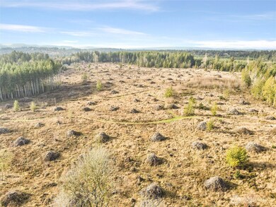 0 XXX Gravelly Beach Loop NW, Olympia, WA 98502 - photo 3