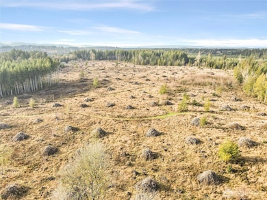 Looking NE over the entire 140.8 acres