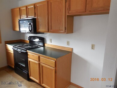 24 Juniper Berry Dr, Big Sky, MT 59716 - photo 4