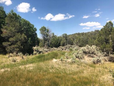 Backs up to BLM with Spring