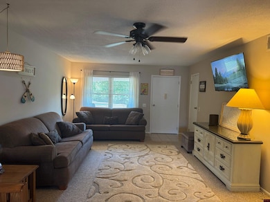 3833 Hwy 178 W unit 35, Lakeview, AR 72642 - photo 3