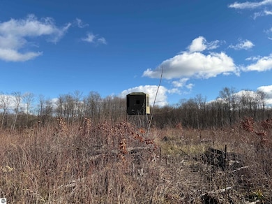 0 Mockingbird Ln unit 1940719, Kalkaska, MI 49646 - photo 4