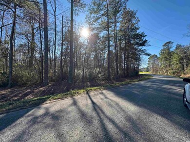TBD Long Branch Swamp Rd, Nichols, SC 29581 - photo 4