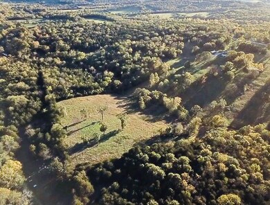 7776 State Highway 39, Aurora, MO 65605 - photo 5