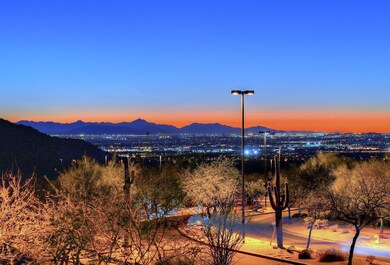 Premium City Light Views