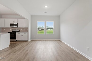 132 Sagamore Ave unit Lot 28, Angier, NC 27501 - photo 4