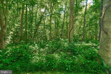 12401 Caisson Rd, Sully, VA 22030 - photo 6