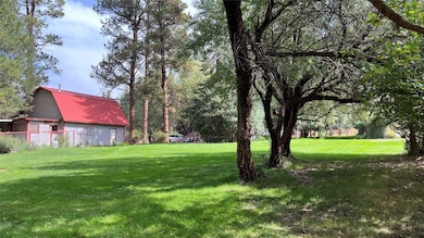 7300 Trout Creek Rd, Helena, MT 59602 - photo 7