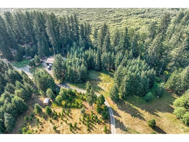 173 Jims View Rd, Castlerock, WA 98611 - photo 6