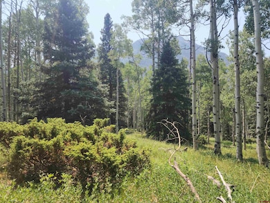 19 Oliver St, Monte Vista, CO 81144 - photo 5