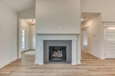 Fireplace with tile surround