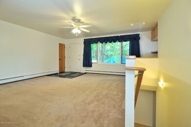 Living Room and Front Entry