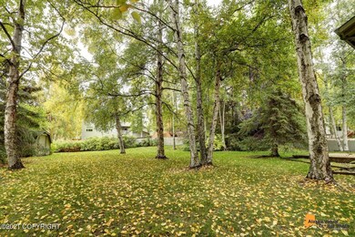 Look at how big this yard is!