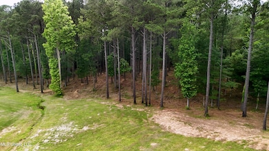 DJI_20250605160535_0677_D.00_00_14_27.St