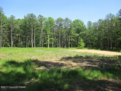 0 Chapman Rear St unit PM-47884, Jim Thorpe, PA 18229 - photo 3