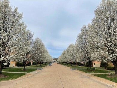 4228 Fatima Dr, St. Louis, MO 63123 - photo 2