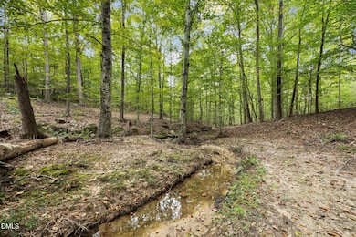 Lot E Wolf Tree Way, Efland, NC 27243 - photo 4