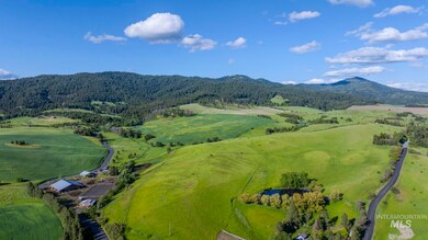 Drone / aerial view of a mountain backdrop and a forest