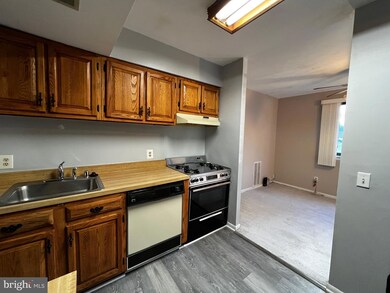 6049 Majors Ln unit 4, Columbia, MD 21045 - photo 3