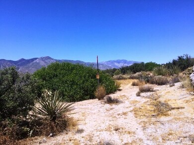 PINYON PINES