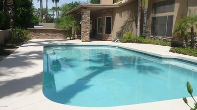 Gorgeous Pool !