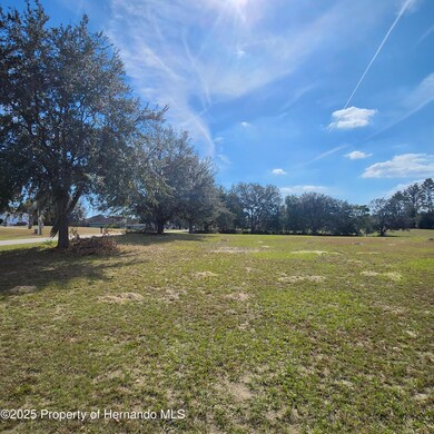 832 E Dunbar Ln, Hernando, FL 34442 - photo 5