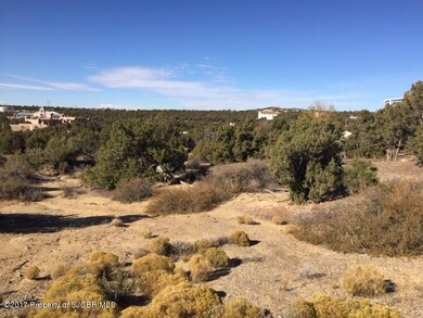 14A Las Brisas Trail, Farmington, NM 87402 - photo 4