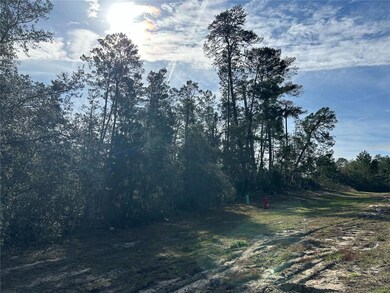 0 SW Marion Oaks Ln unit MFRO6171762, Ocala, FL 34473 - photo 2