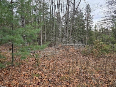 V/L 10ac Kelley Dr, Case Township, MI 49759 - photo 6