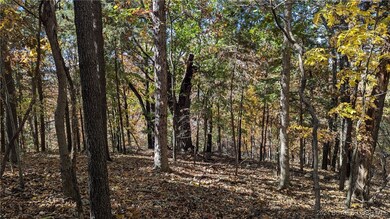 Nice treed lot