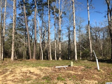 26 Rivers Edge Dr, Conway, SC 29526 - photo 3
