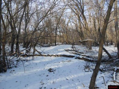 0 W 1st St unit 7004164, Blue Earth, MN 56013 - photo 6