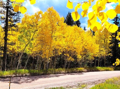 517 Aspen Village Rd, Divide, CO 80814 - photo 5