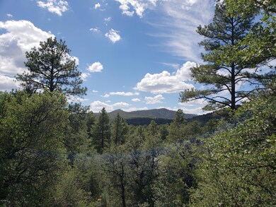 Ponderosas & Views