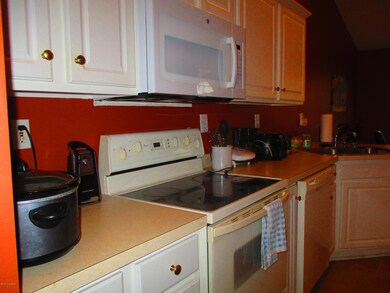 9602- River Birch 025