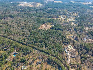 00 Baneberry Rd, Magnolia, TX 77355 - photo 3