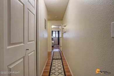 Entryway Hall-Large Closet on Left