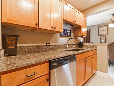 1611 Ashland Ave unit 204, Des Plaines, IL 60016 - photo 4