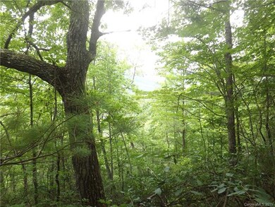 This is a view of the property.