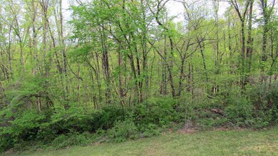 1321 Celeste Ave, Morristown, TN 37814 - photo 7