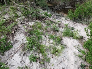 No Enterprise Rd, McComb, MS 39648 - photo 3