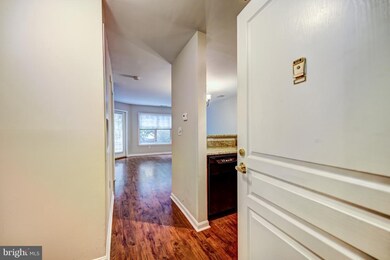 5573 Seminary Rd unit 102, Baileys Crossroads, VA 22041 - photo 6