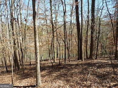 3568 Old Duckett Mill Rd, Gainesville, GA 30506 - photo 7