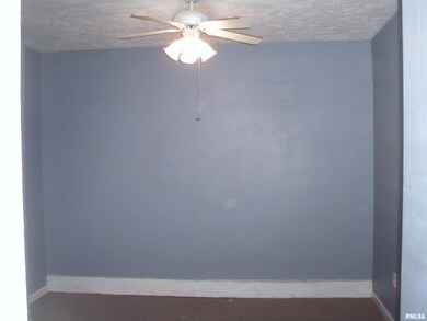 117 E Springfield St, Virginia, IL 62691 - photo 7