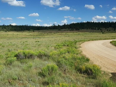 0 E Meadow Ln unit 100432, Duck Creek, UT 84762 - photo 4