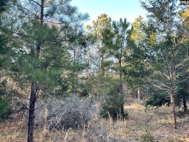 TRACT 2 S Carolina 219, Pomaria, SC 29126 - photo 5